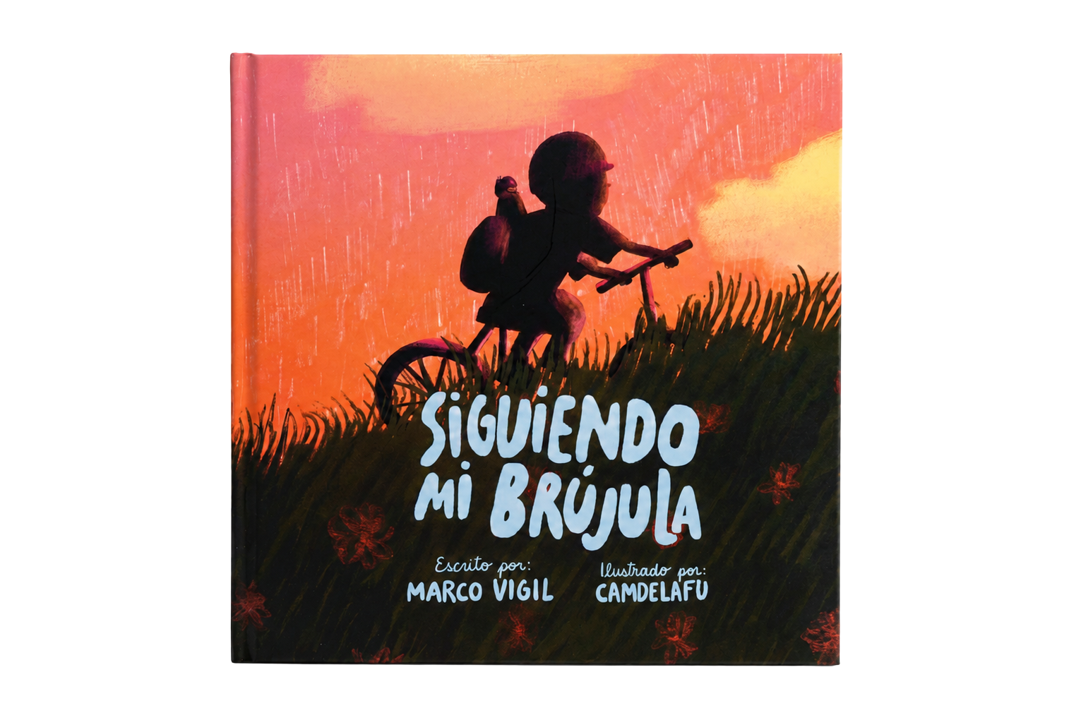 Siguiendo Mi Brújula